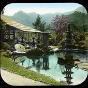 Cover image of [Garden and pond]
