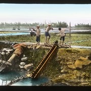Cover image of 
[Workers in field with irrigation]