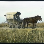 Cover image of [Horses pulling covered wagon]