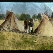 Cover image of Native Camp