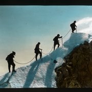 Cover image of The Summit