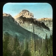 Cover image of Trail from Lake O'Hara