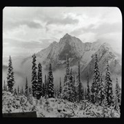 Cover image of Mount McDonald