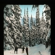 Cover image of Skeeing [Skiing] at Glacier, B. C. [British Columbia]