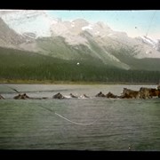 Cover image of Crossing at Mouth of Maligne [Lake]