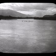 Cover image of [Horses crossing Maligne River]