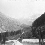 Cover image of The Loop, Glacier B.C. / On Line of Canadian Pacific Railway. 19-100