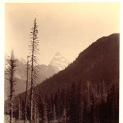 Cover image of Mt. Sir Donald 10,645 ft. from "the Loop"