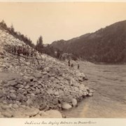 Cover image of Indigenous people sun drying salmon on Fraser River