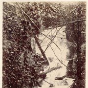 Cover image of A Mountain stream at N.Bend