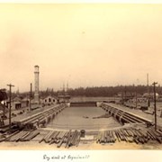 Cover image of Dry dock at Esquimalt