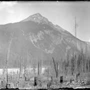 Cover image of Field, Mount Field from near station (No.74) 7/12/94