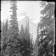 Cover image of Glacier. Mt. Cheops from Lake Marion trail. 1894