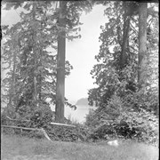 Cover image of Top of bridge, Point Defiance Park Tacoma (No.4) 7/9/97