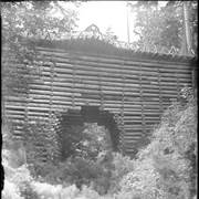 Cover image of Log bridge, Point Defiance Tacoma (No.5) 7/9/97
