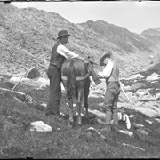 Cover image of Glacier. Pony on trail to Mt. Avalanche. 8/15/98