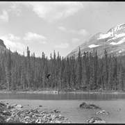 Cover image of Lake O'Hara pan (No.42) : [pan 2 of 4]