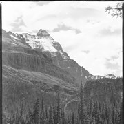 Cover image of Mt. Hungabee & Lake O'Hara (No.50)