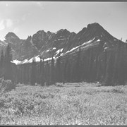 Cover image of Mt. Schaffer also Hungabee & Biddle (No.56)