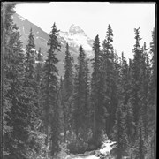 Cover image of Hungabee from below Lake O'Hara stream foreground (No.58)