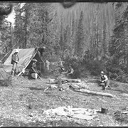 Cover image of Camp at Lake O'Hara, porcupine (No.64)