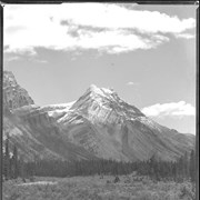 Cover image of Mount Hector from trail to Upper Bow Lake (No.123)