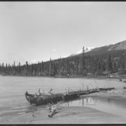 Cover image of Upper Bow Lake from narrows near outlet, pan (No.125) : [pan 2 of 2]