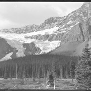 Cover image of Crowfoot Glacier  : (No.130)