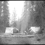 Cover image of Camp in Yoho Valley (No.22) 8/7/04