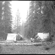 Cover image of Camp in Yoho Valley (No.23) 8/7/04