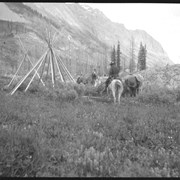 Cover image of #5 Spray Lake 1907 [trip : file title]