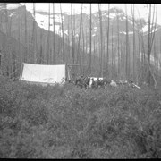 Cover image of #5 Spray Lake 1907 [trip : file title]