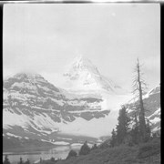 Cover image of #6 To Assiniboine 1907 [trip : file title]