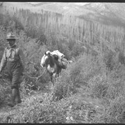 Cover image of Canadian Pacific trip 8/1909 [file title]