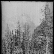 Cover image of Hungabee and Victoria from (meadow?) above Lake O'Hara 1909