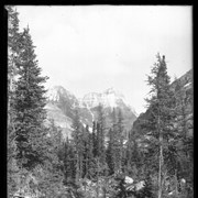Cover image of Hungabee and Victoria from (meadow?) above Lake O'Hara 1909