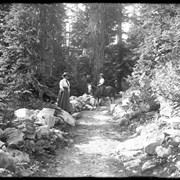 Cover image of 908 Trail to Loans Glacier with pony and figures, best (Mrs. Henshaw and M. Schaffer) (No.38) 1910