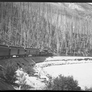 Cover image of Banff, prairie wolf