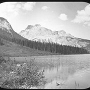 Cover image of Mt. Field from Emerald Lake (No. 130) 8/3/97