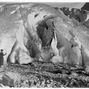 Cover image of Forefoot of Illecillewaet Glacier (No.31) Glacier trip 1898