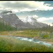 Cover image of Mt. Hector from Bow Pass, trail / Mary M. Vaux