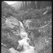 Cover image of Small waterfall near cave, Glacier 1905