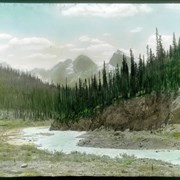 Cover image of Looking back from Fort, Wapta Glacier, Yoho Valley, Field B. C. 1906 / Vaux