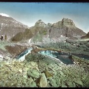 Cover image of Horsehoe Glacier, Paradise Valley 1906 / Vaux