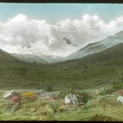 Cover image of Looking back at Bow Range from Ptarmigan Valley 1906 / Vaux