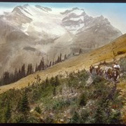 Cover image of On trail to Burgess Pass 1910 / M.M.V.