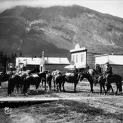 Cover image of Wilson packtrail on Banff Avenue, left to right L.J. Steele, Ross Peacock, Bob Campbell, Walter Garrett, and Walter Wilcox