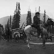 Cover image of [Packtrain preparing to depart from Brewster Dairy (Jim Brewster at right) from Banff]