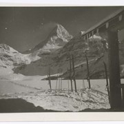 Cover image of 73. [Mount Assiniboine from Lodge].