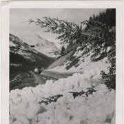 Cover image of Avalanches